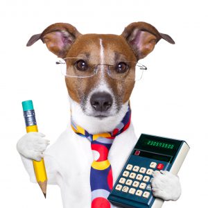 accountant dog with pencil and calculator